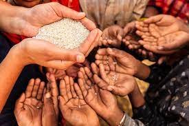 Provide Pure Water & Fresh Food For Poor